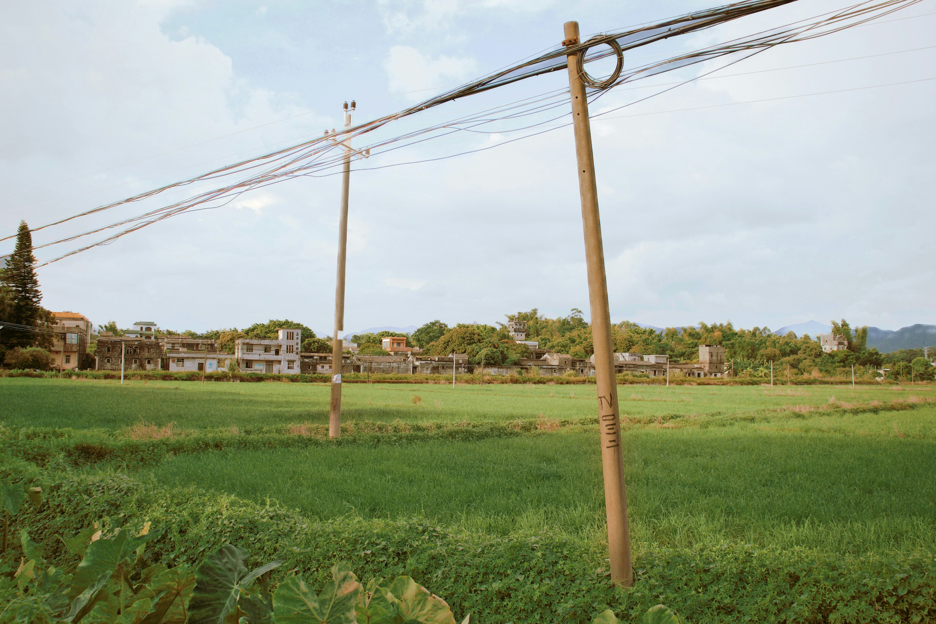 Photo by yiquanzhang