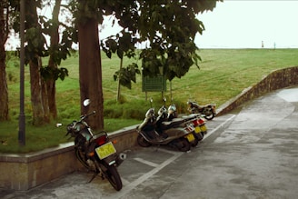 A group of mopeds and motorcycles parked on a paved area next to a green lawn and trees. The area is surrounded by a stone wall and there is a signpost nearby. The bikes have yellow license plates and are parked in a designated parking zone.