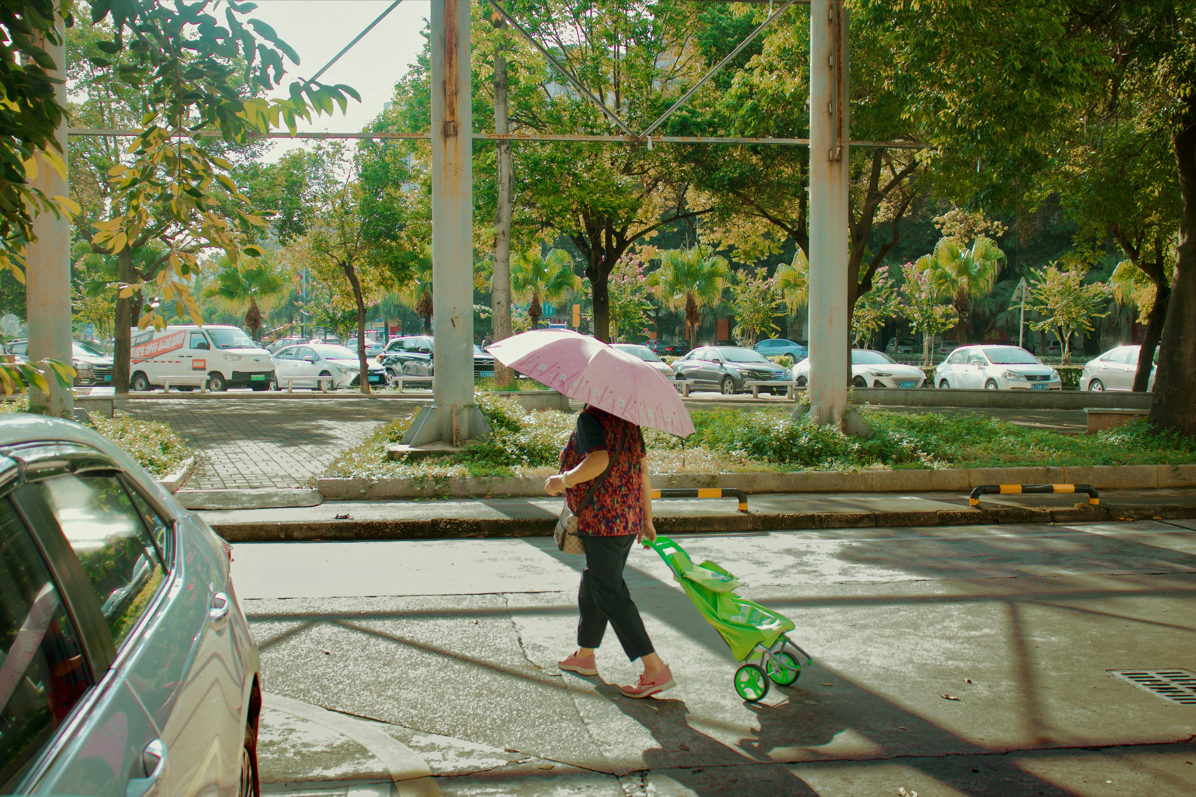 Photo by yiquanzhang