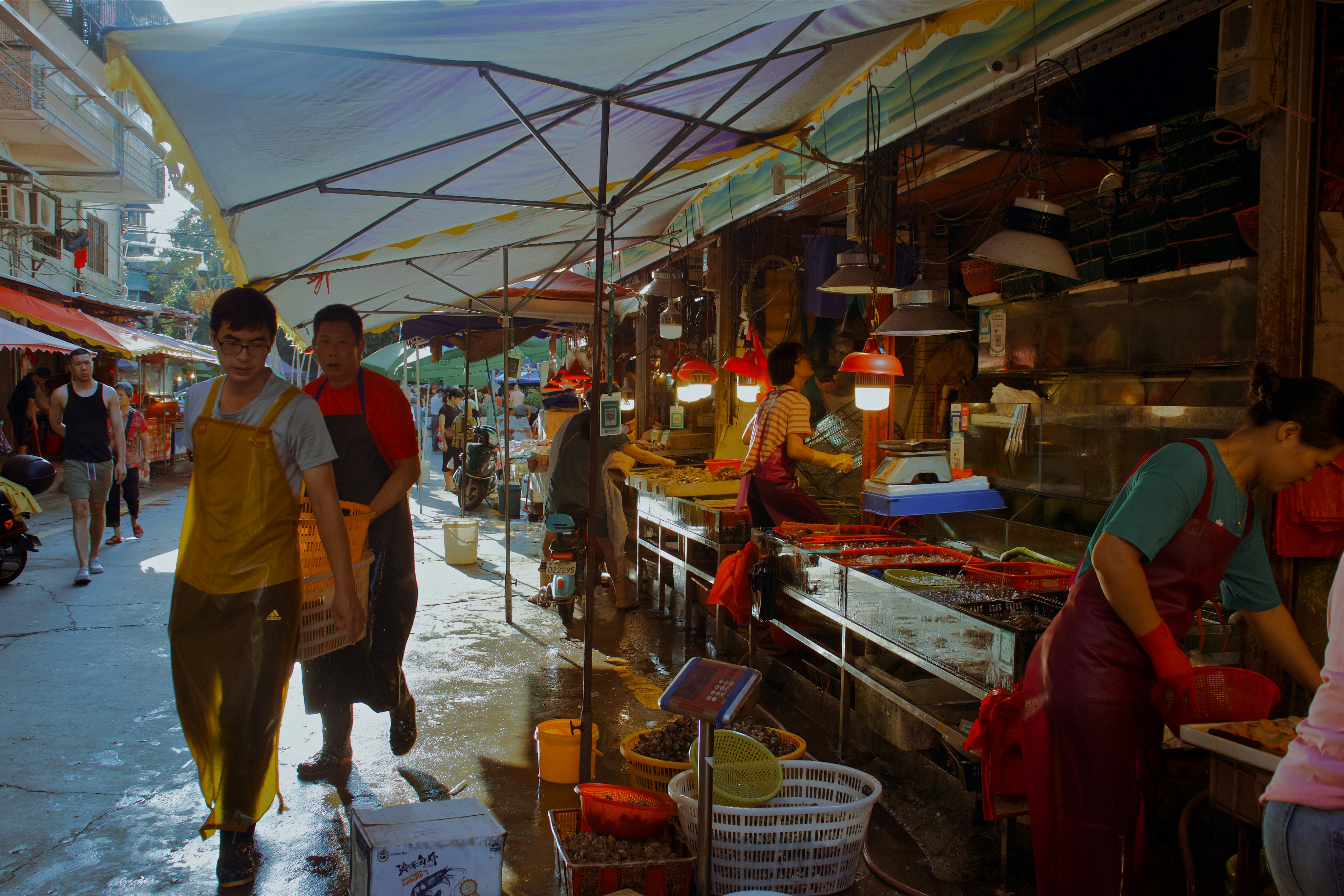 Photo by yiquanzhang