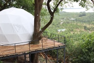 A white geodesic dome is nestled among trees on an elevated wooden platform with a metal railing. The background displays a vast expanse of lush greenery, possibly a forest or plantation, extending to the horizon. A tree grows through the platform, making the structure appear integrated with nature. Small structures or houses are scattered in the distance, and part of a body of water is visible.