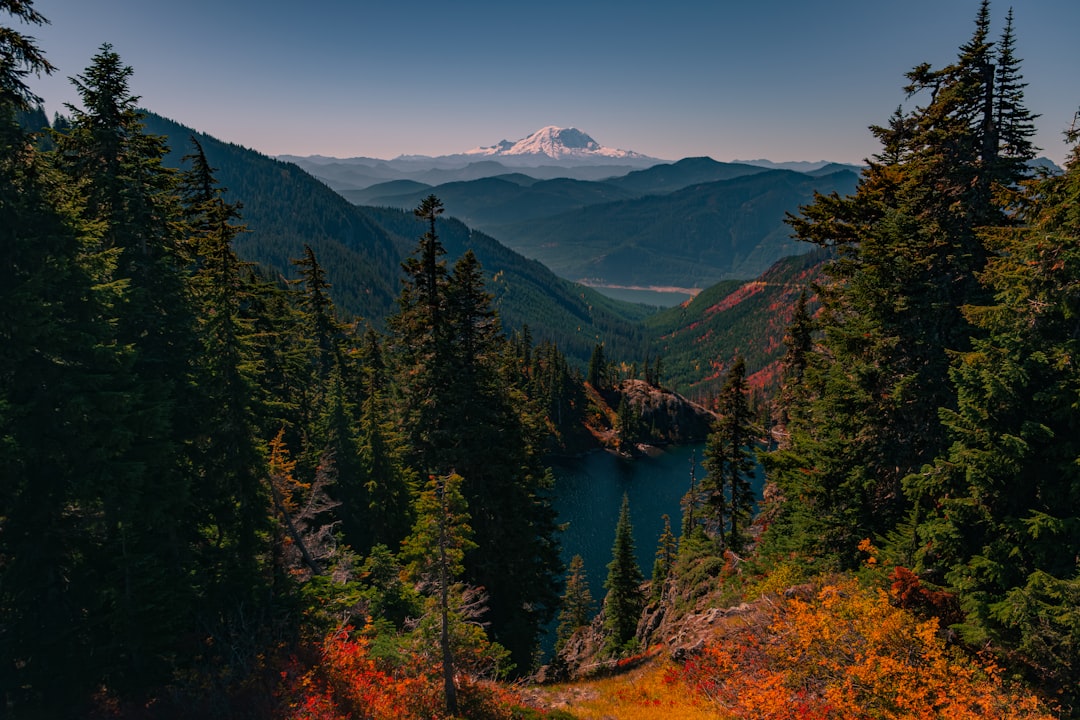 a scenic view of a mountain lake surrounded by trees, Falling down and then looking up...