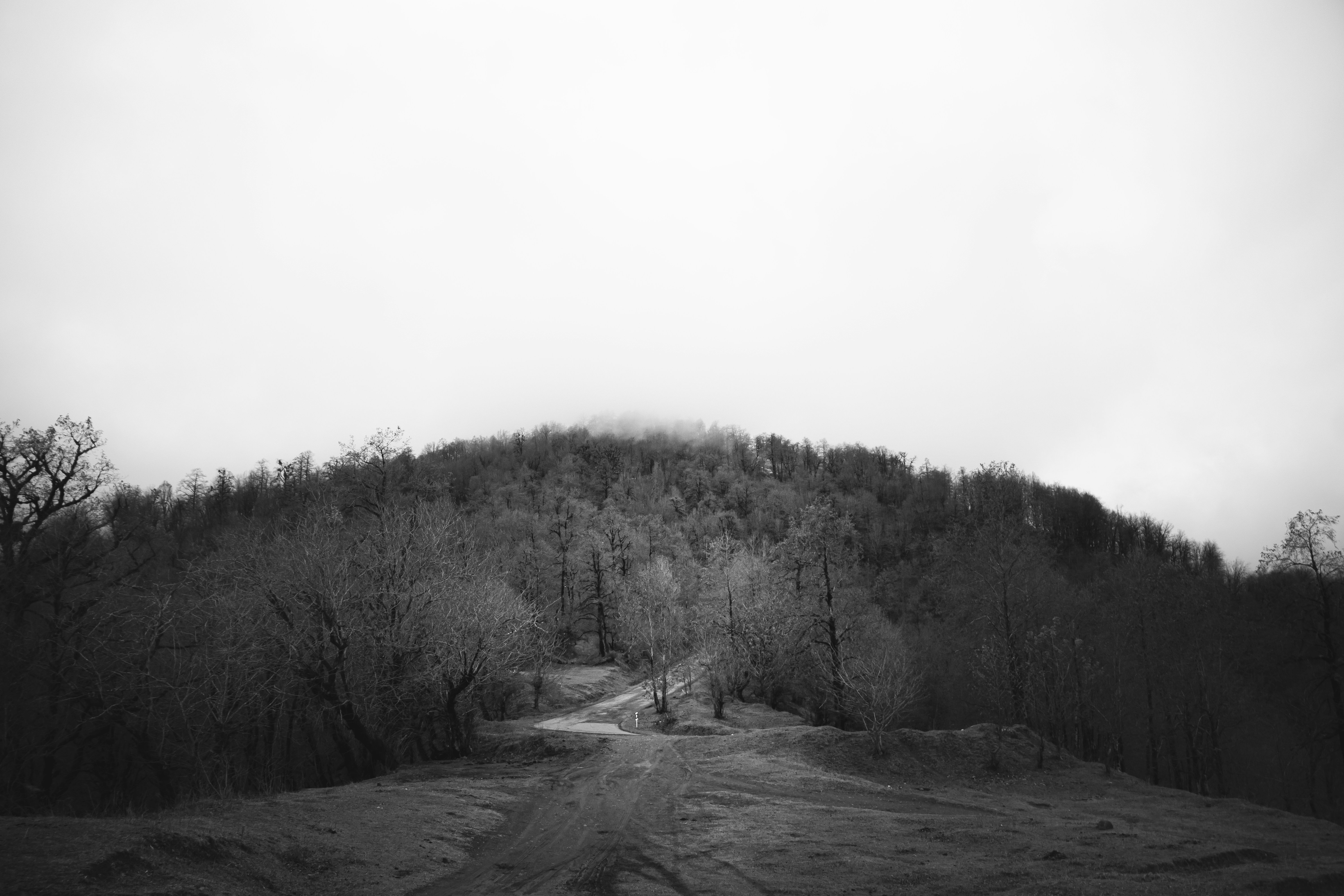 Photo by mahdibafande