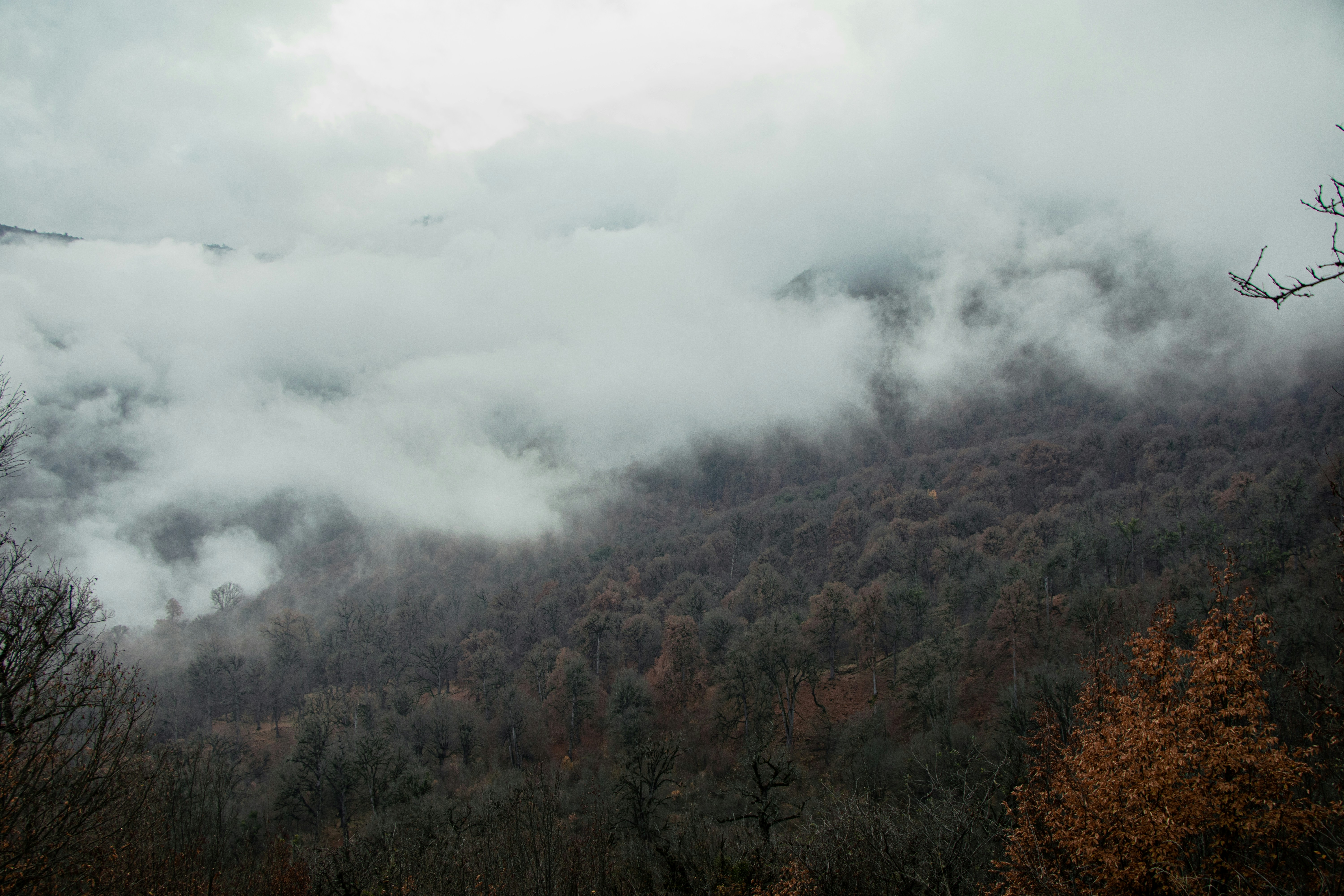 Photo by mahdibafande