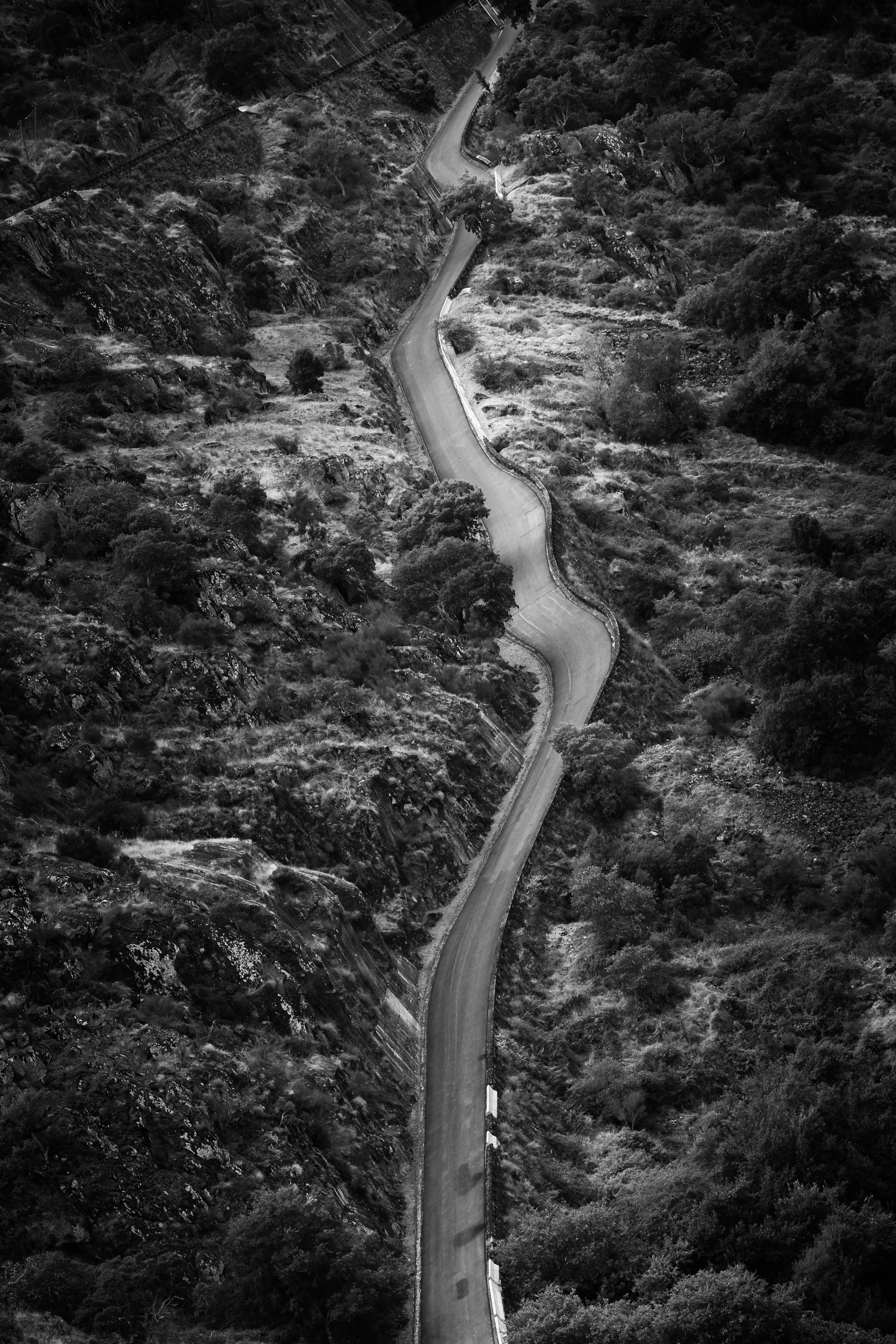Photo by tiagojct