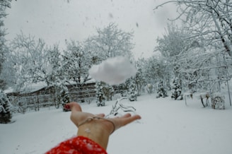 a person is throwing a snowball in the air