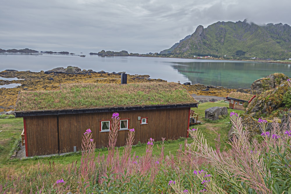 a house with a green roof and a green roof