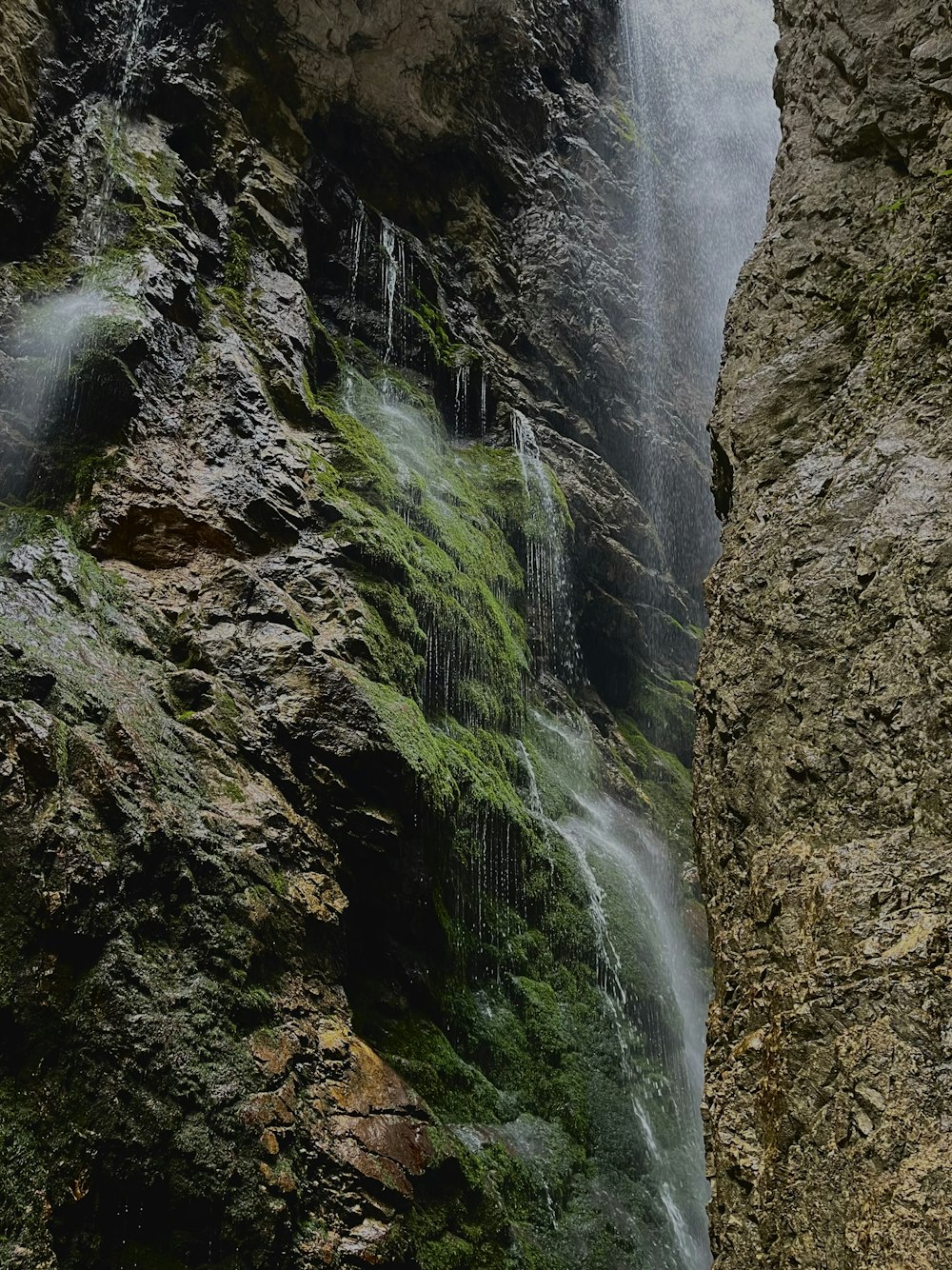 a man standing in front of a waterfall