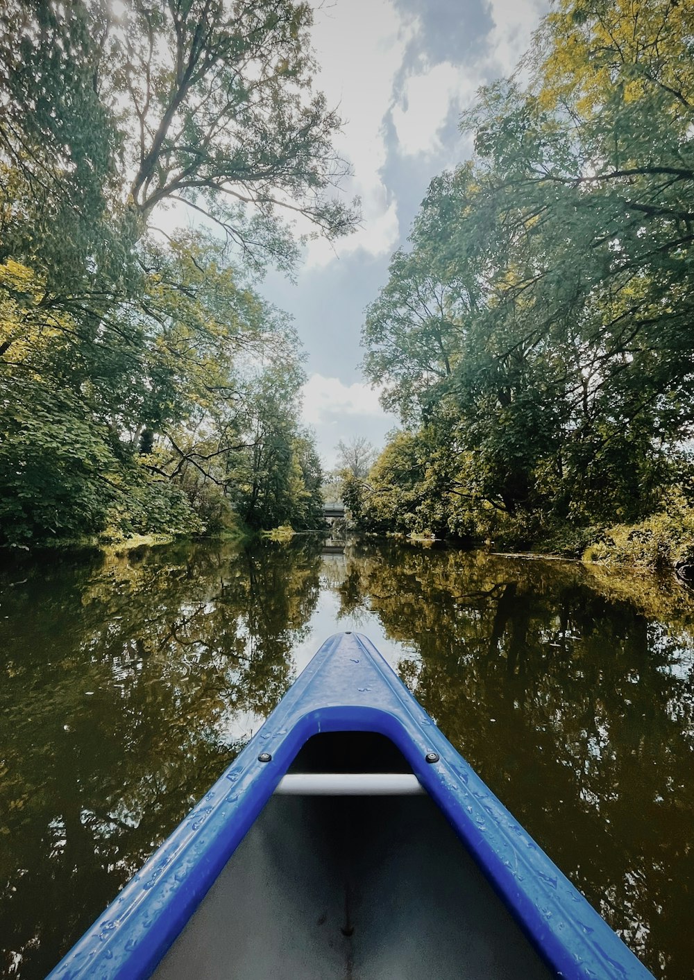 Una vista de un río desde una canoa