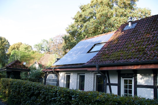 A vibrant community project showcasing sustainable housing.