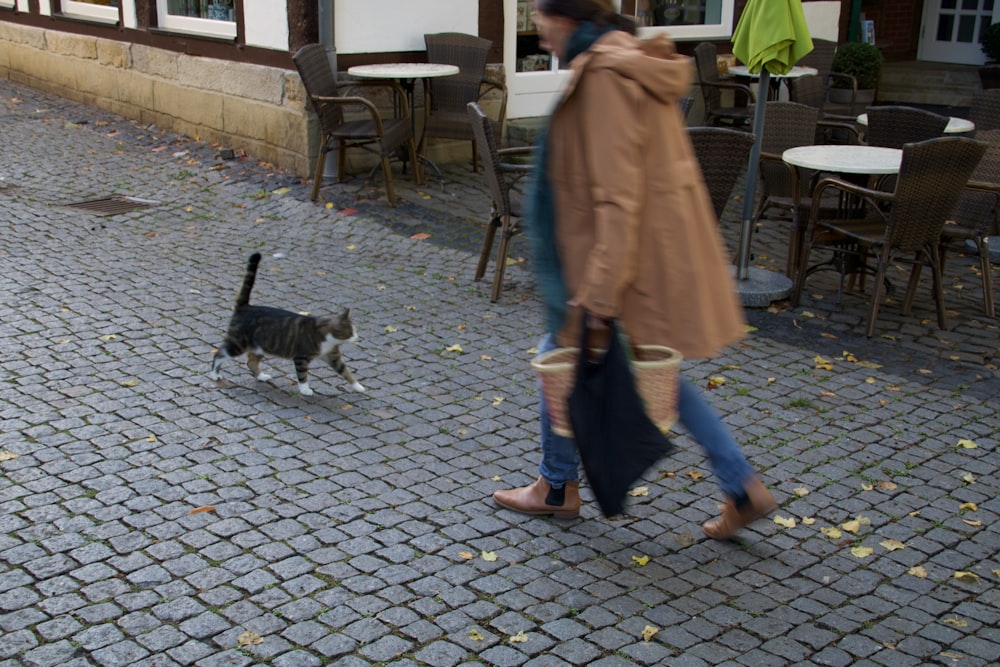 a woman walking down a street with a cat on the ground