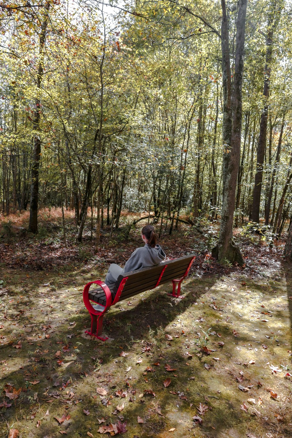 a person sitting on a bench in the woods