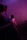 A group of people standing closely against a barricade, engulfed in vivid pink and purple lighting, suggesting a concert or live performance setting. The scene is dimly lit with a hazy atmosphere.