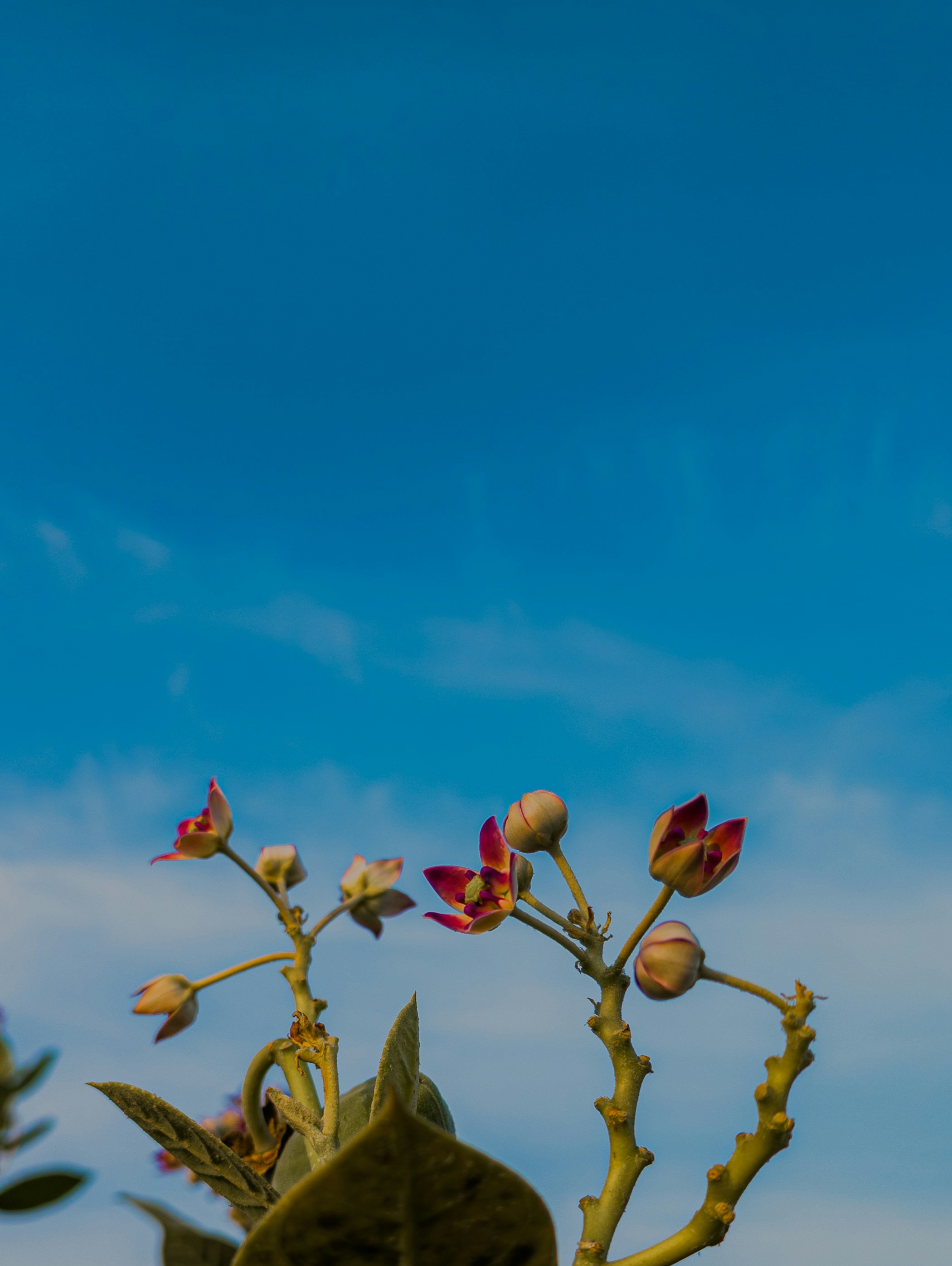 Photo by lifeofhardik