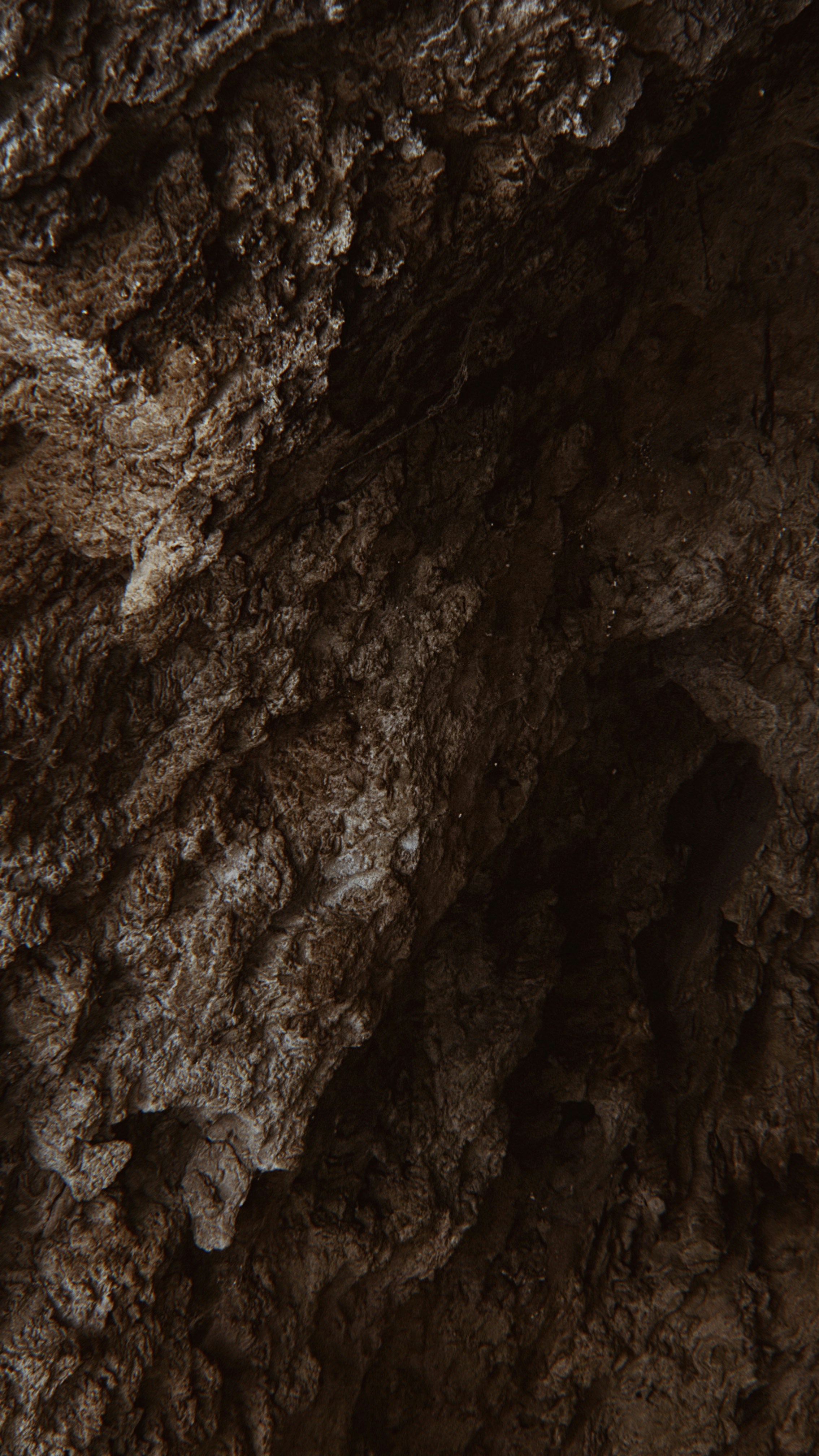 Photo by laamsylilly