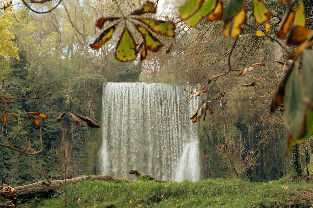 a large waterfall in the middle of a forest