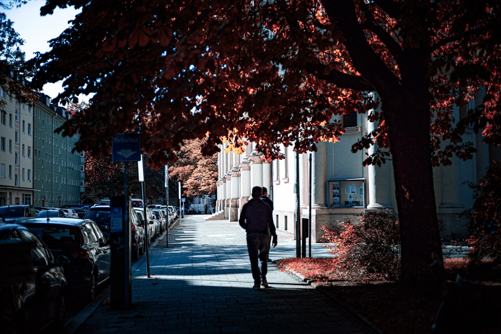 a person walking down a sidewalk next to a tree