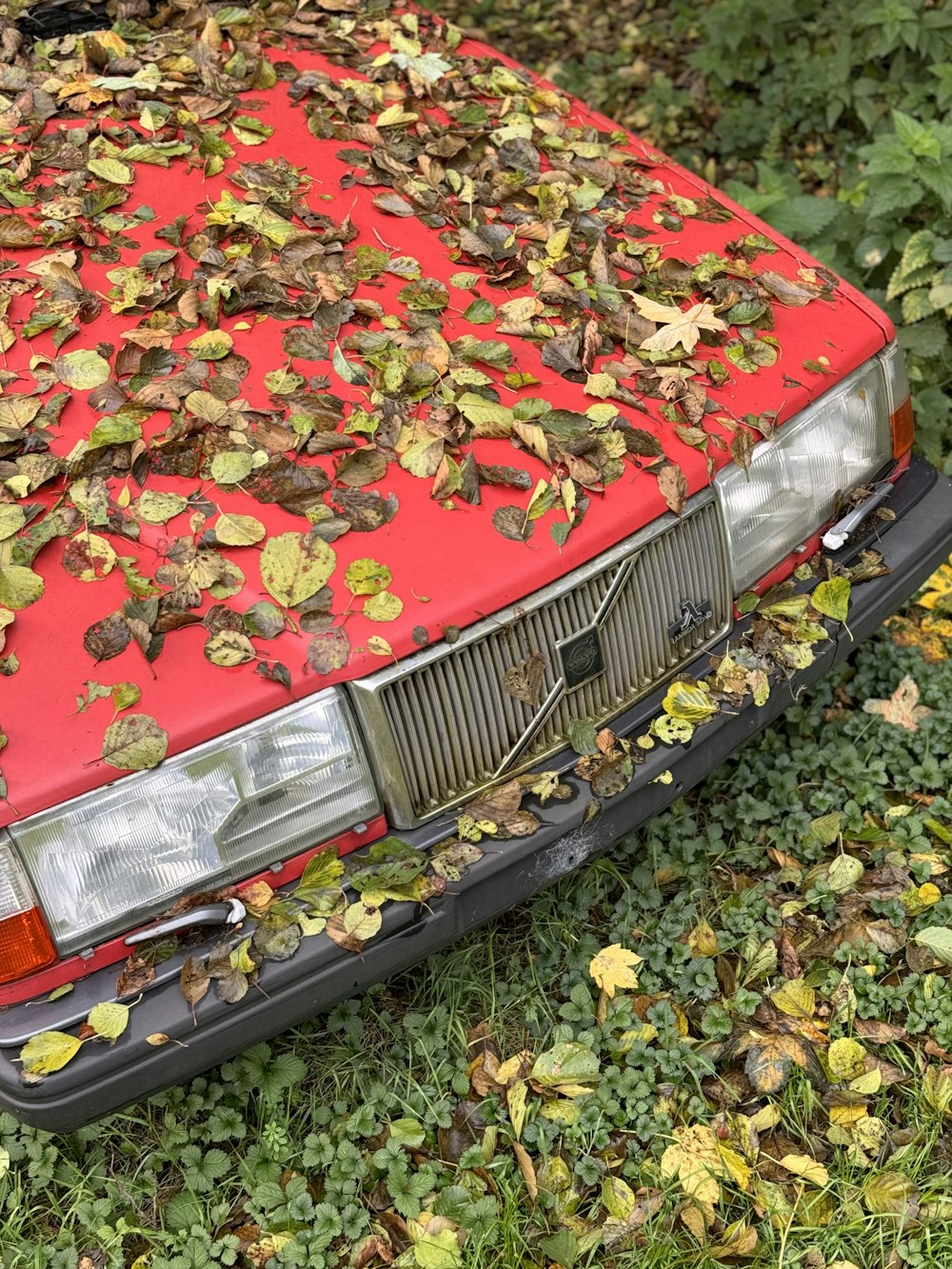 a red car with leaves on the hood