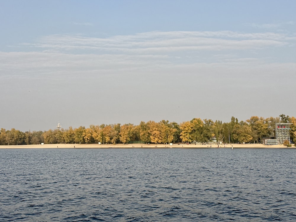 a body of water with trees in the background