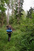 A person is hiking through a dense forest, carrying a large backpack equipped with camping gear and walking poles. The path is surrounded by lush, green foliage and tall trees reach towards the sky, suggesting a thriving, natural environment.