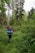 A person is hiking through a dense forest, carrying a large backpack equipped with camping gear and walking poles. The path is surrounded by lush, green foliage and tall trees reach towards the sky, suggesting a thriving, natural environment.