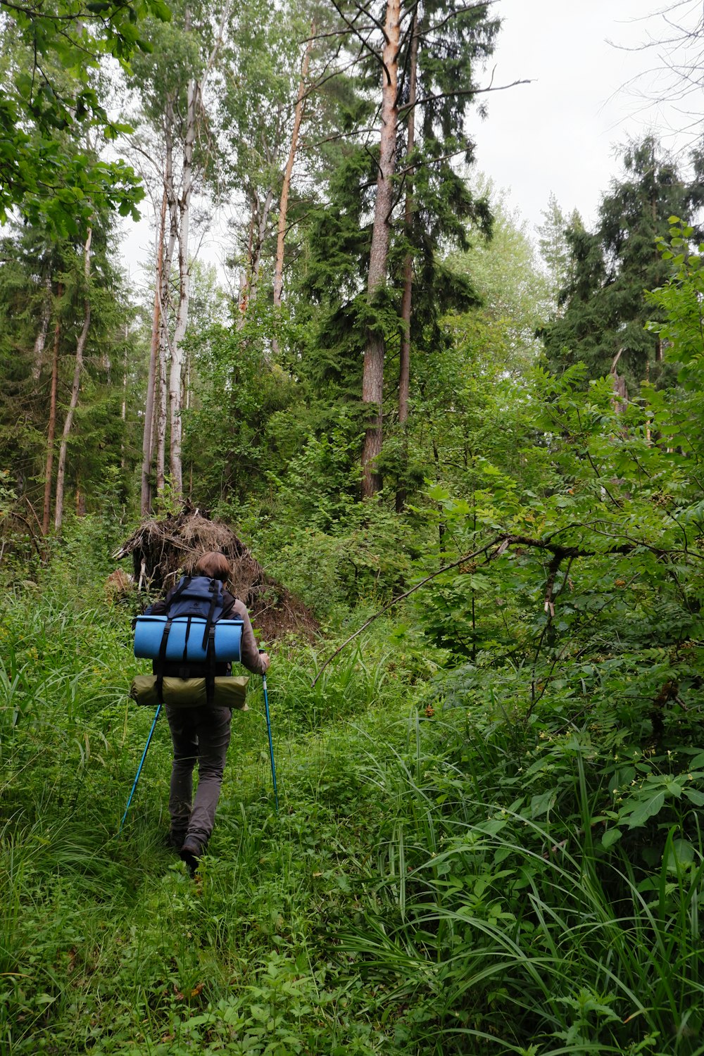 una persona con uno zaino che cammina attraverso una foresta