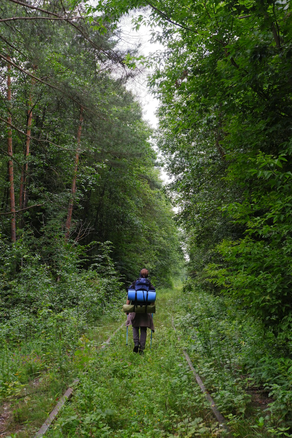 a person with a backpack walking down a path in the woods