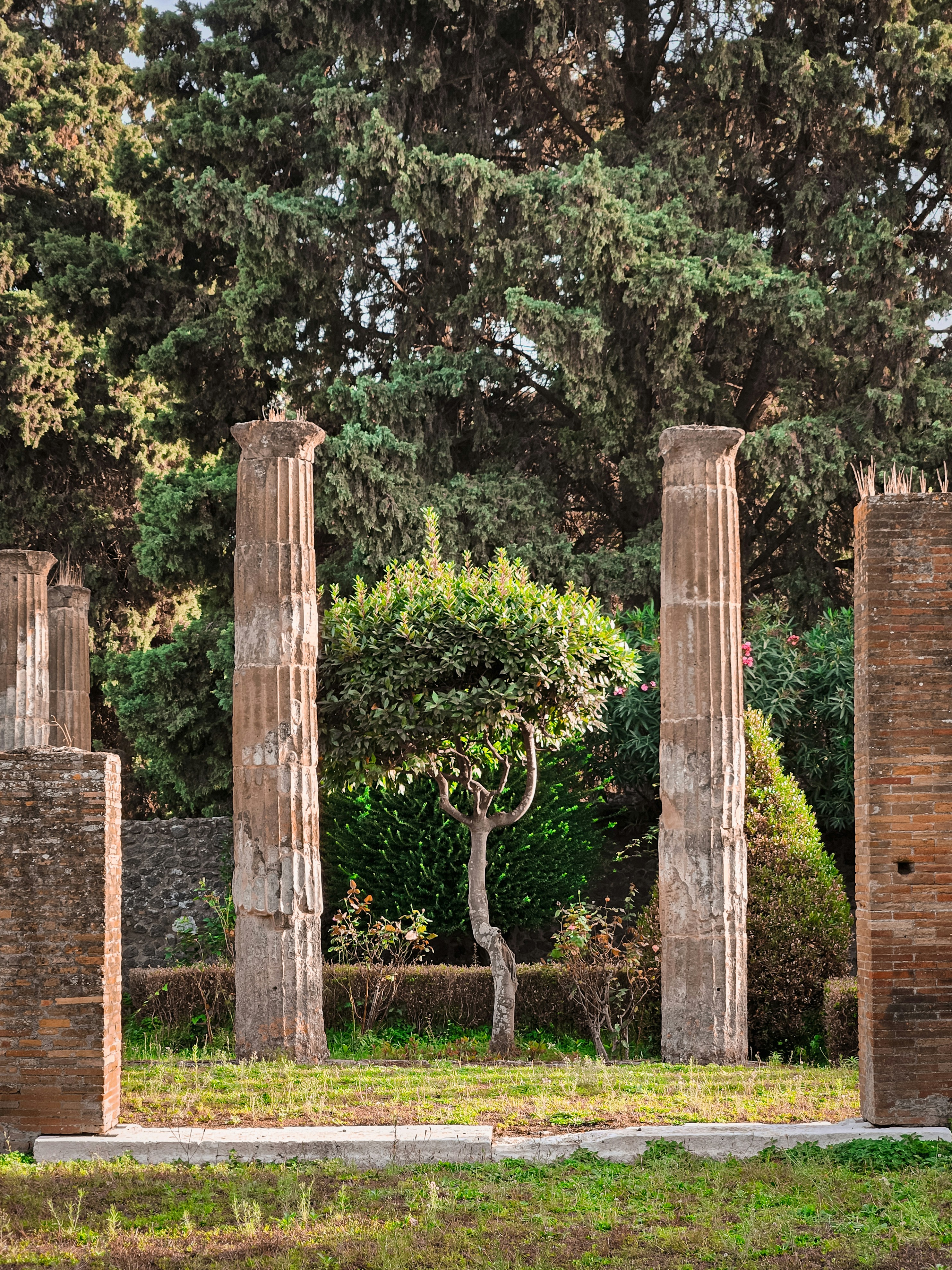 Photo by ochristosdemeneipiaedw