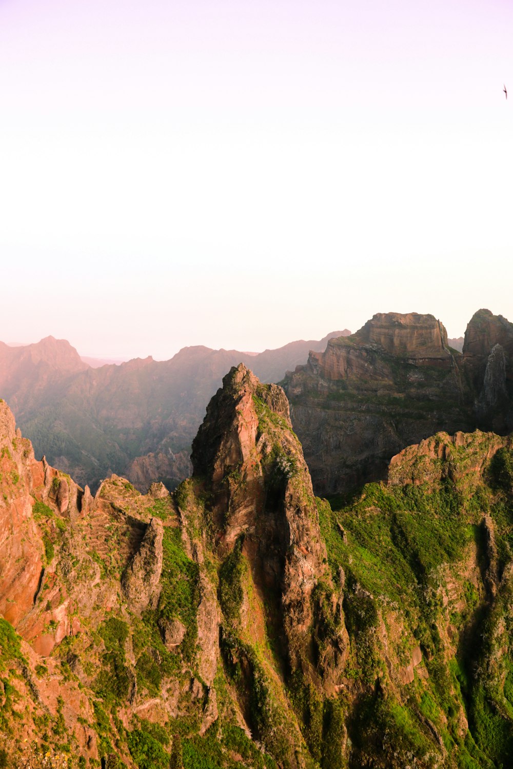 a view of a mountain range with a bird flying over it