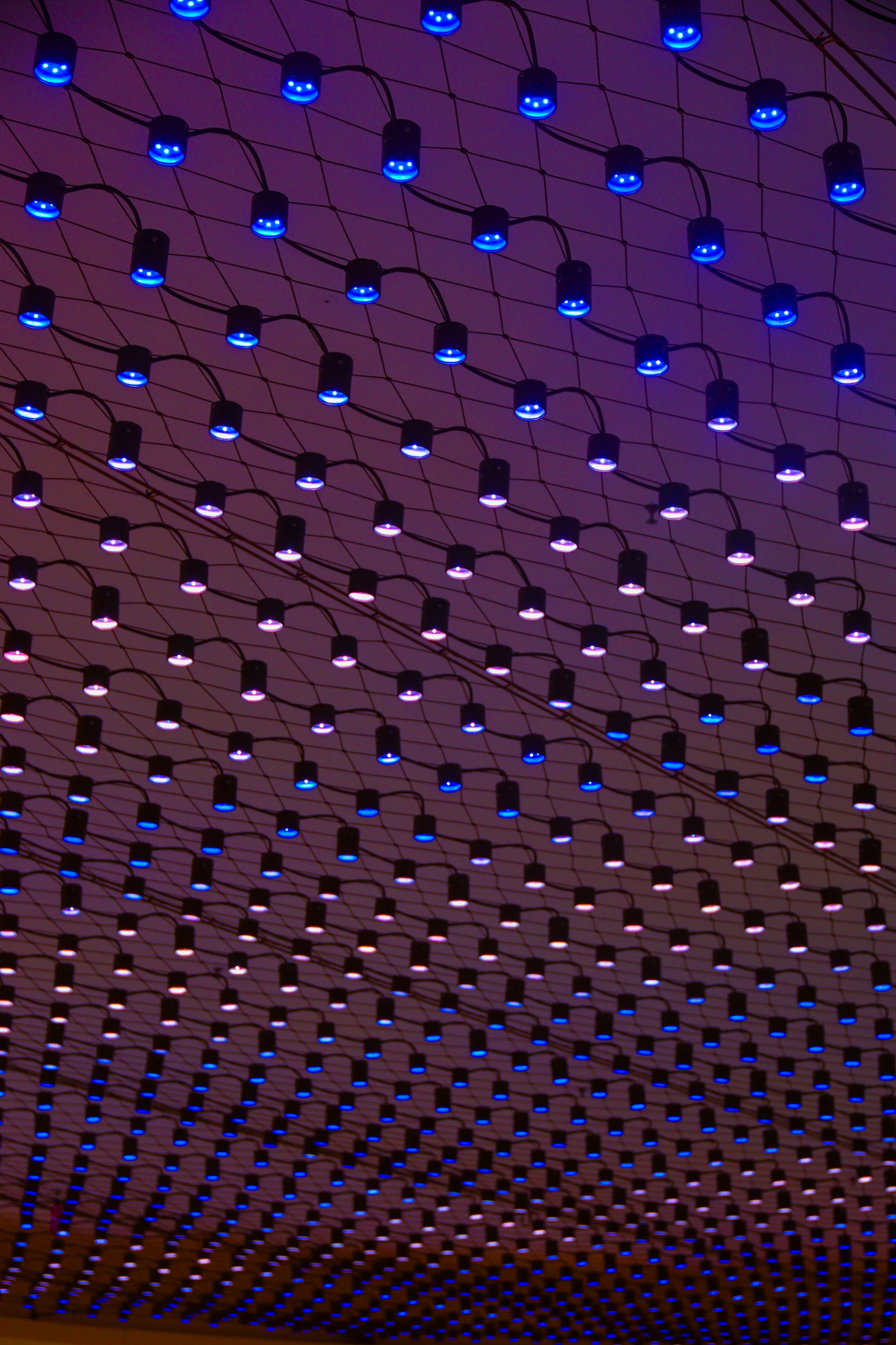 a ceiling with blue lights hanging from it