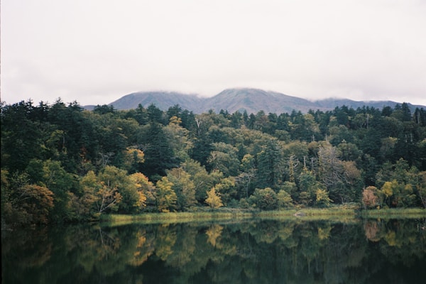 Explore Rishiri: A Picturesque Island Retreat