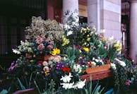 A rustic wooden cart overflowing with freshly cut flowers, set against a backdrop of garden beds.