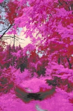 Vibrant digital art showing a journey path with koalas hopping between Solana tokens under the stars.