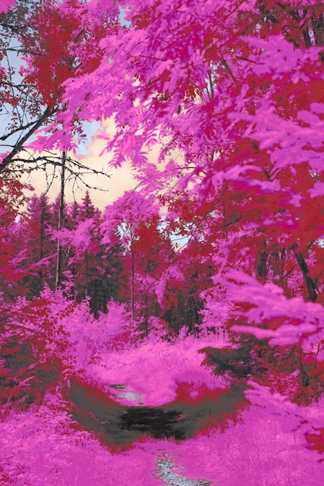 A vibrant and surreal landscape featuring a forest path surrounded by trees with leaves in shades of pink and red. The sky peeks through in pale blue and orange hues, adding to the dreamy atmosphere.