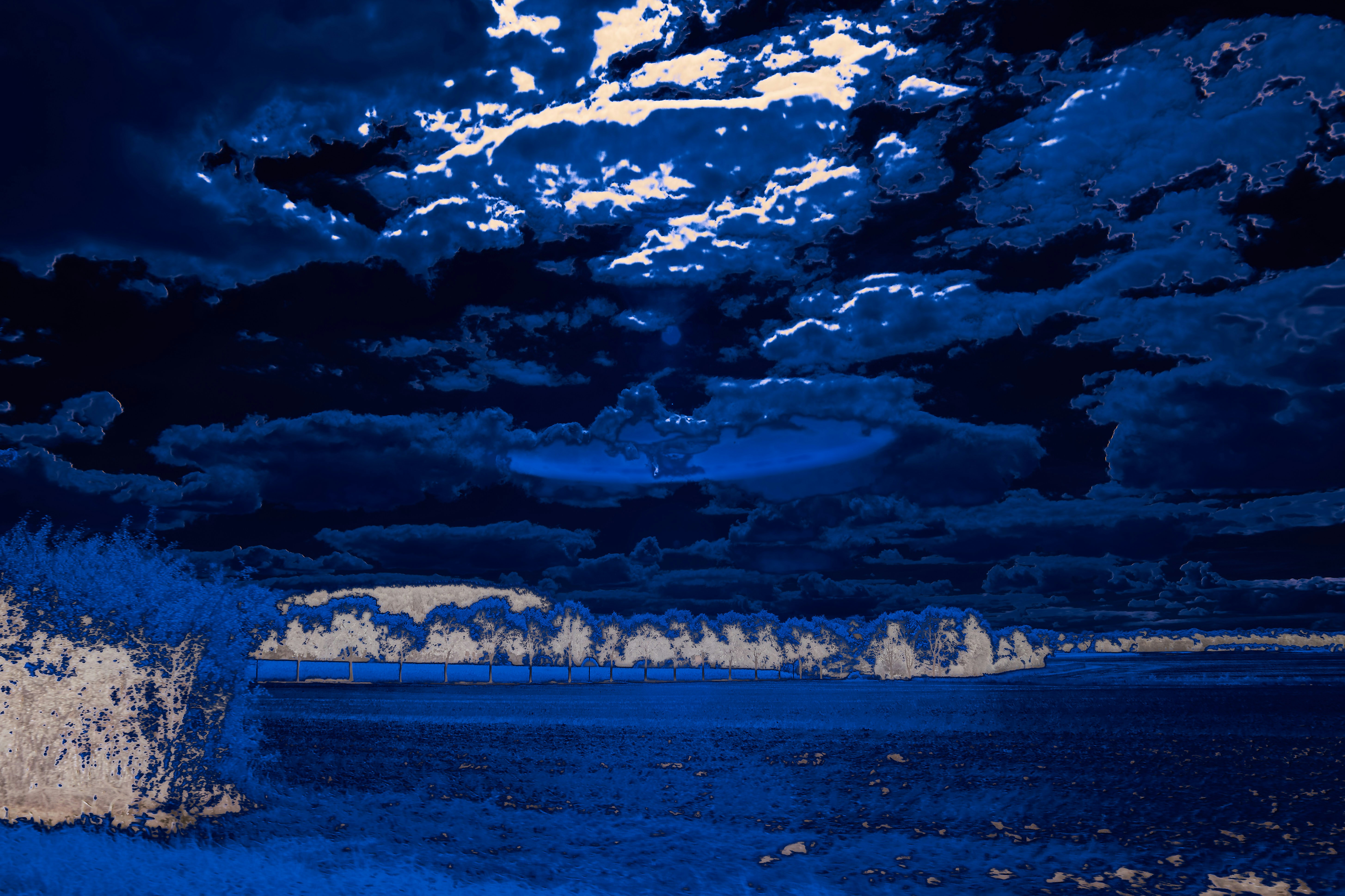 Photo by wolfgang_hasselmann