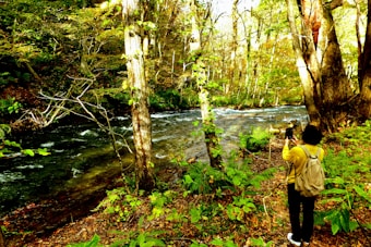 A lush forest scene features a person with a yellow jacket and backpack standing by a flowing river. The surrounding trees are tall with green and golden leaves, indicating a season of transition. The forest floor is covered in ferns and leaves, creating a vibrant natural setting.