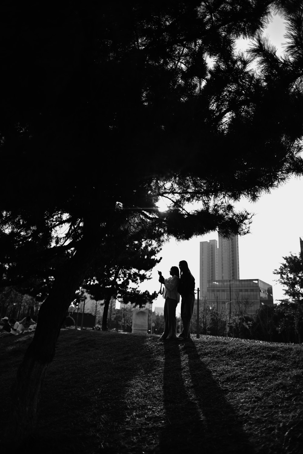 a couple standing under a tree in a park