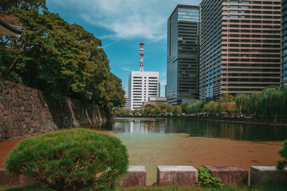 a body of water surrounded by tall buildings