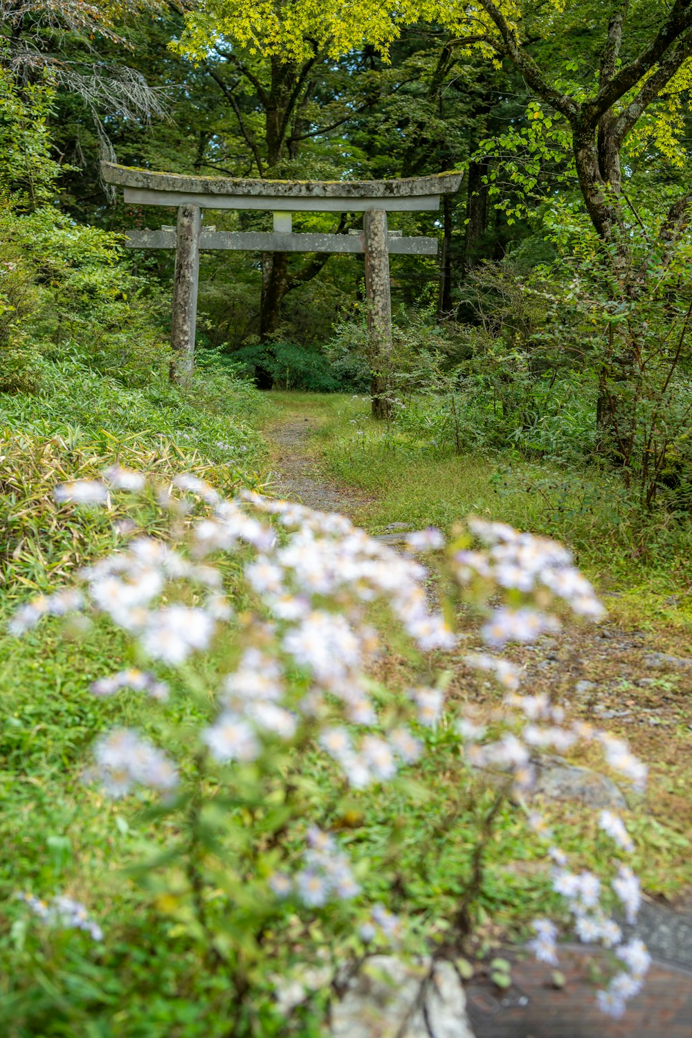 a small wooden structure in the middle of a forest