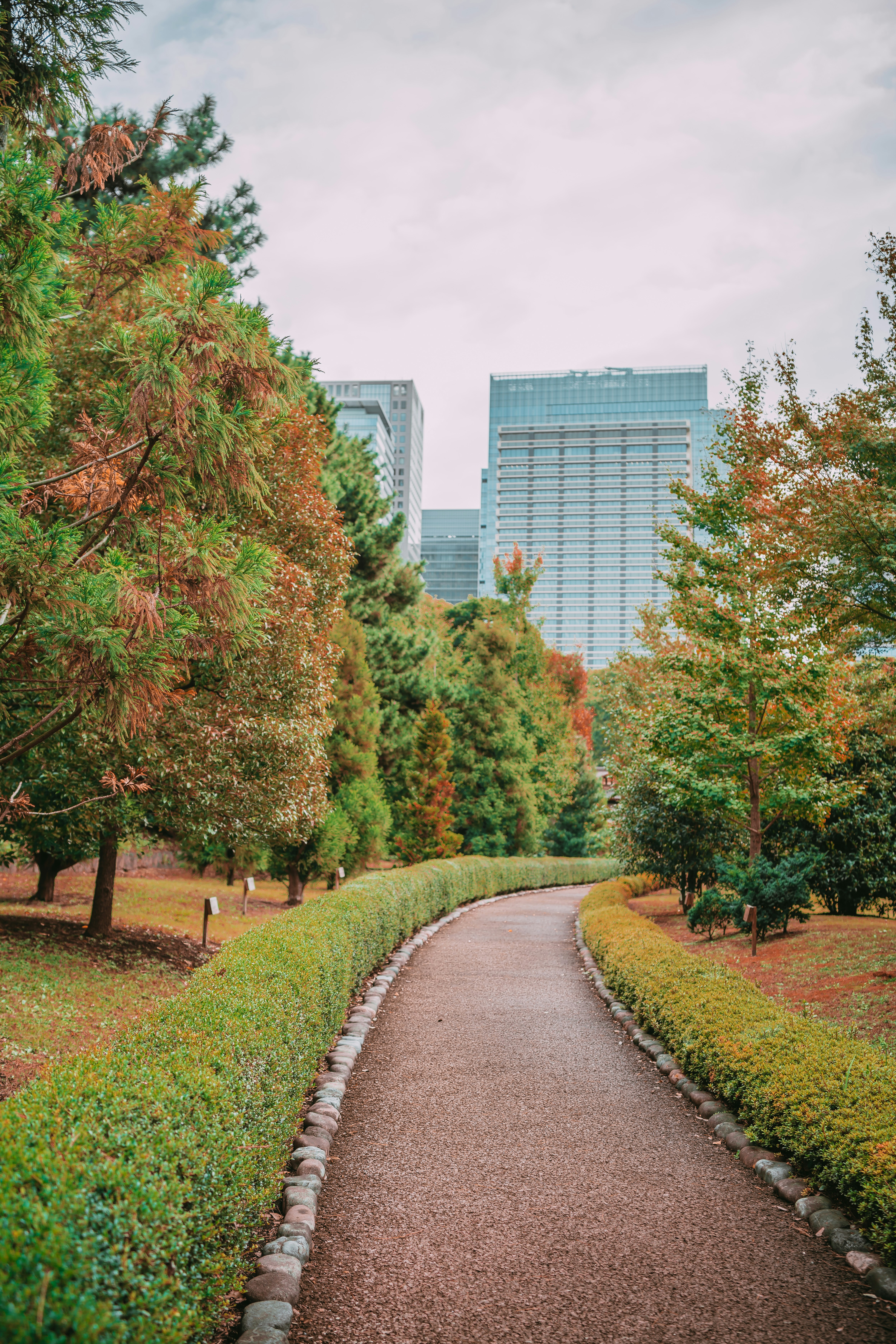 ein gepflasterter Weg in einem Park mit hohen Gebäuden im Hintergrund