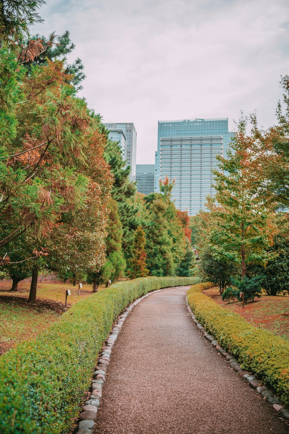 a paved path in a park with tall buildings in the background