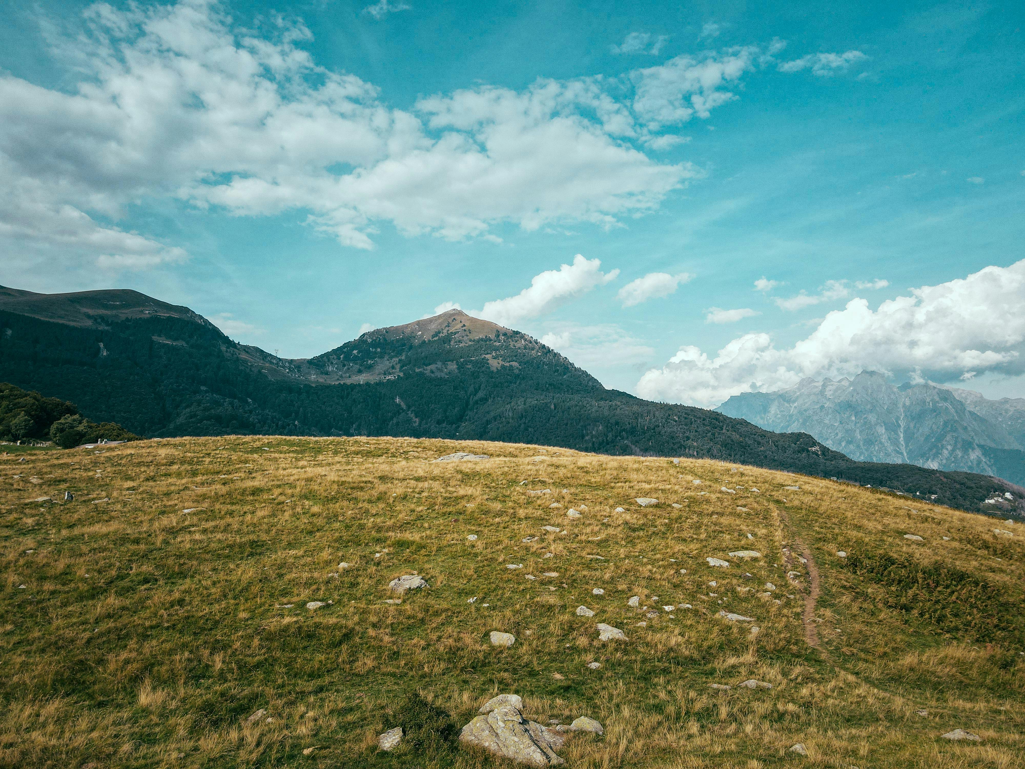 Photo by francesco_ungaro