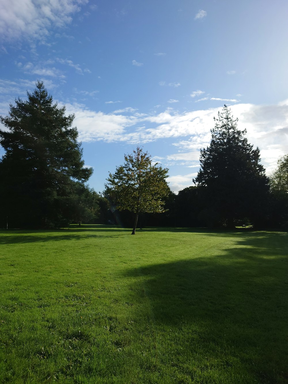 a grassy field with trees in the background