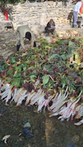 A group of diverse volunteers happily sorting food scraps at a local compost drop-off.