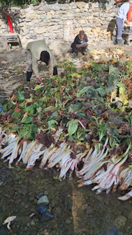 A group of diverse volunteers happily sorting food scraps at a local compost drop-off.
