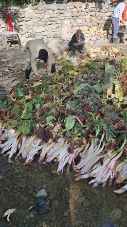 Volunteers preparing fresh produce for distribution.