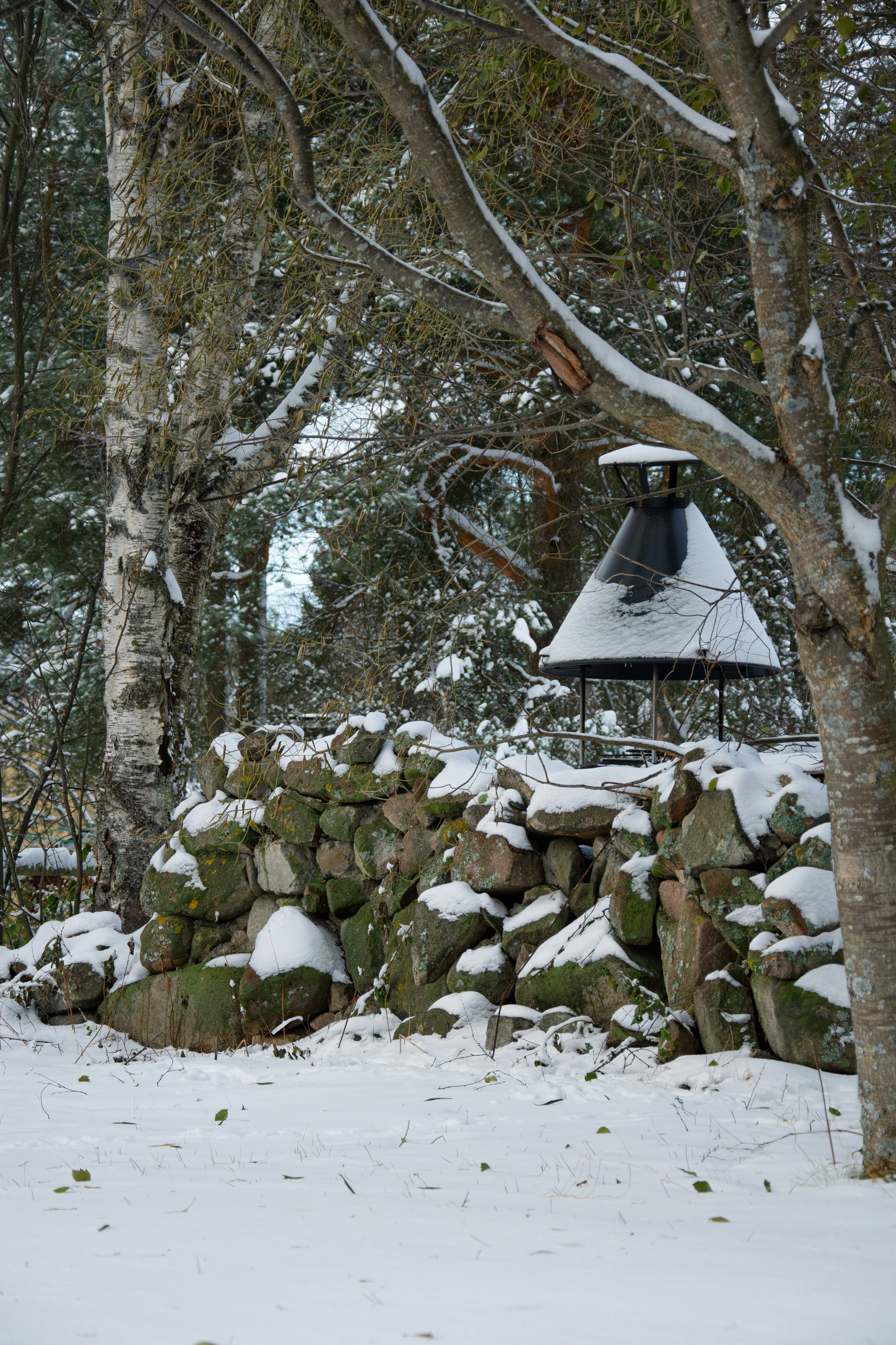 a pile of rocks in the snow next to a forest