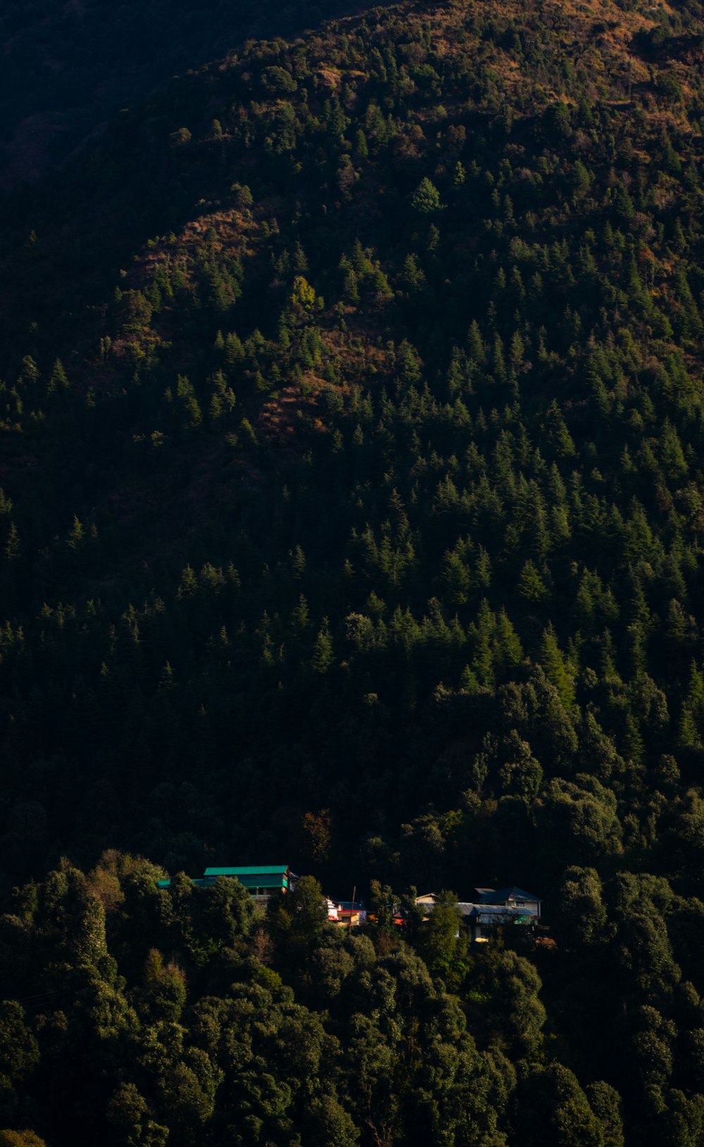 a plane flying over a lush green forest covered hillside