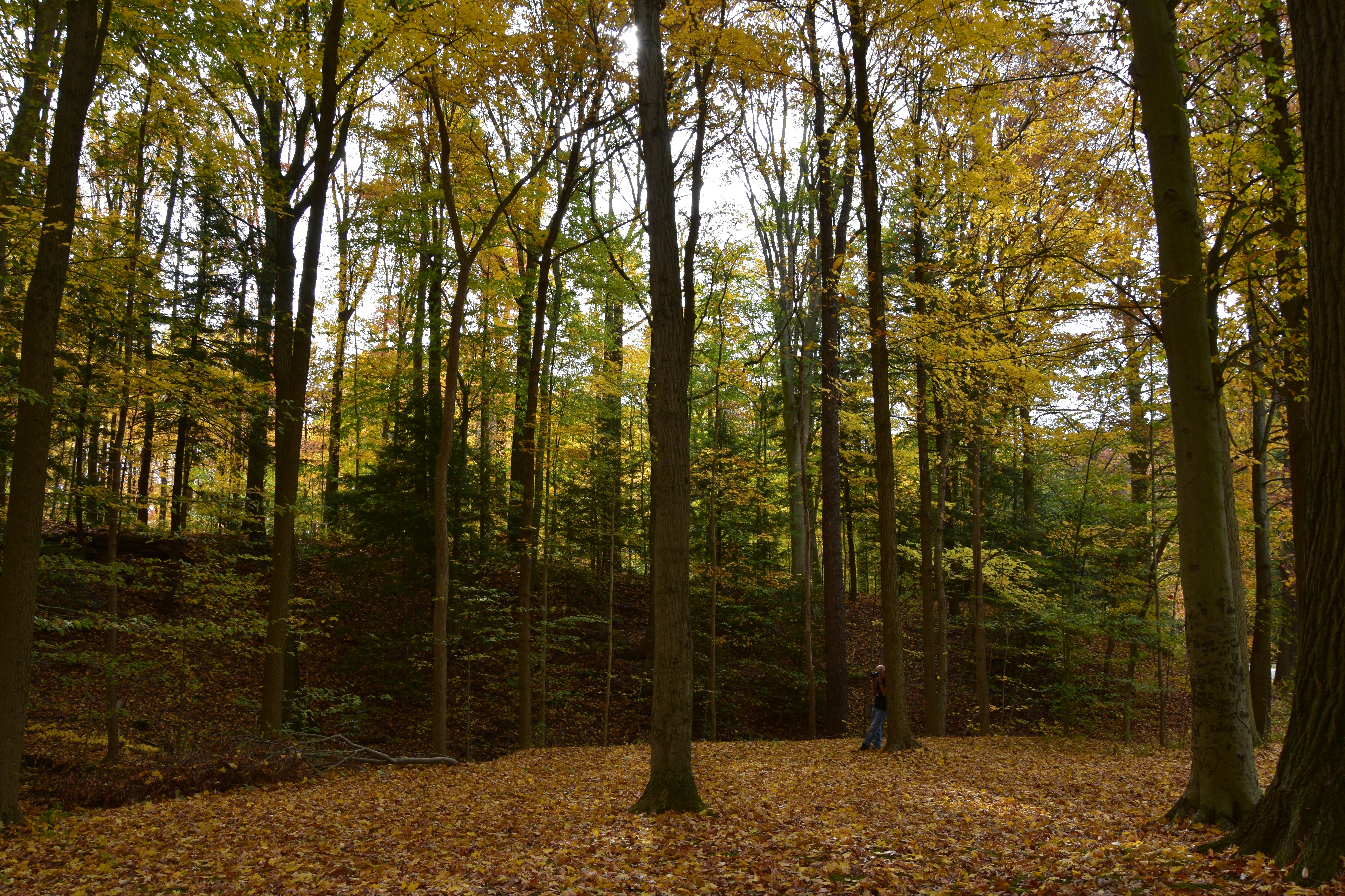 Photo by scottscreativephotographs