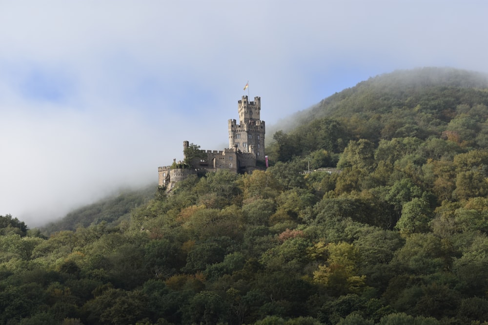 a castle on top of a hill surrounded by trees